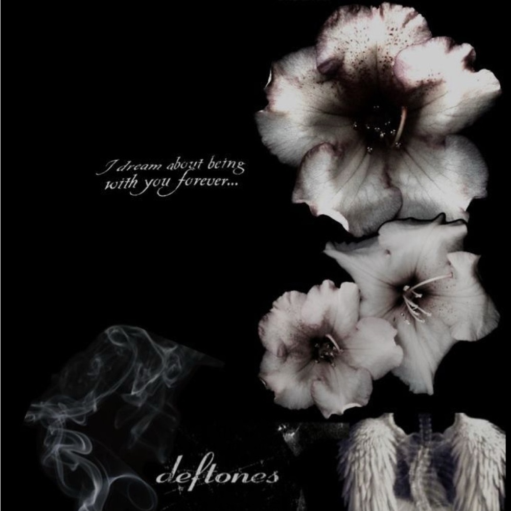 Meet your Posher, Keily